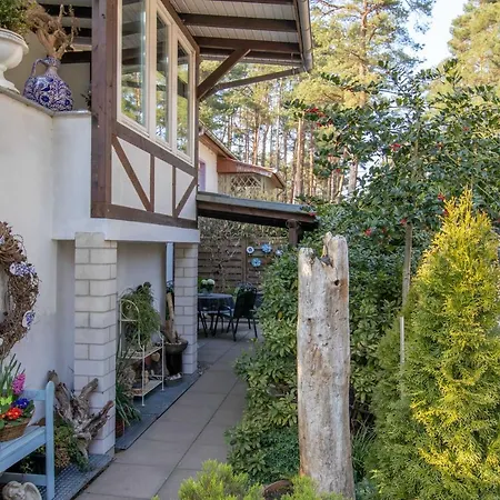 Timmy * ルブミン