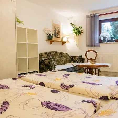 Timmy アパート ルブミン